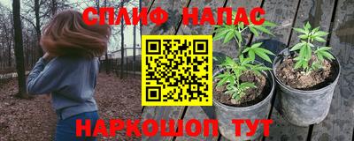 спиды Гулькевичи