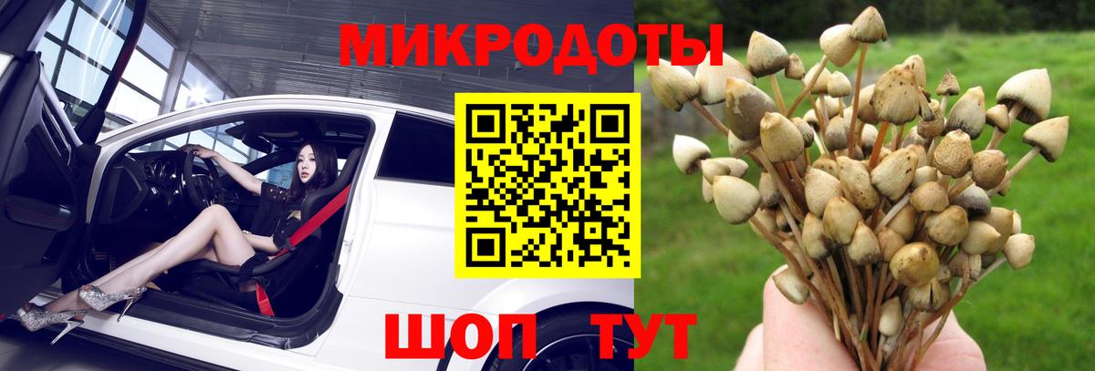 Новочеркасск  Псилоцибиновые грибы Cubensis  Галлюциногенные грибы Psilocybine cubensis  Вход с VPN 